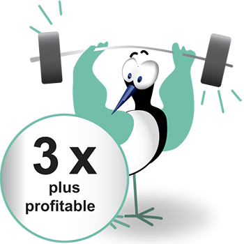 SEO profitable copie SEO profitable