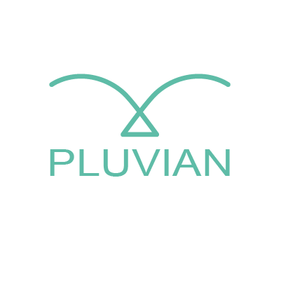 logo Pluvian, agence SEO, SEA
