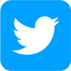logo twitter social media pluvian