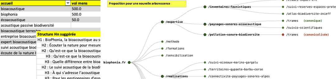 Audit seo geo bioacoustique